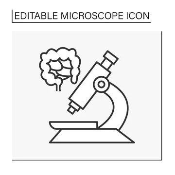 Researching line icon Illustrazione stock