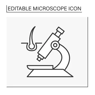 Researching line icon Illustrazione stock