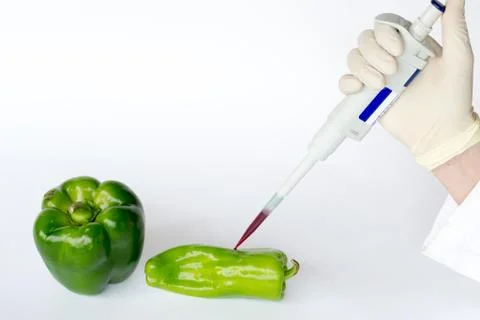 Researching with peppers Stock Photos