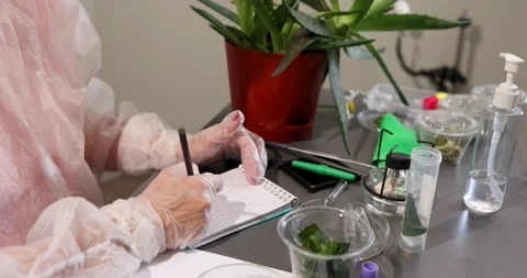 Researching Plant Properties in a Laboratory Setting for Pharmacy Applications Stock Footage 316880672