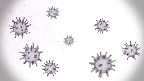 Researching the virus cells with microscope in the scientific laboratory Stock Footage 196631348