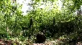 Reservat 3170 HD Footage