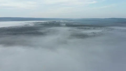 Reserve, which is covered with fogs, trees in smog Stock Footage 120114612