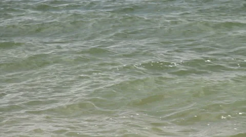 Reservoir Chop Video stock 24833901