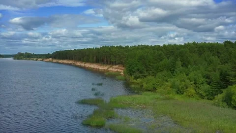 Reservoir Claim, Pines Succumb, Eroding Shore Under Cloud Theater. Aerial Drone Stock Footage 257766934