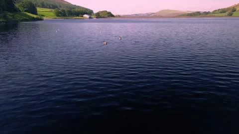 Reservoir Ducks At Dovestone Stock Footage 249908073