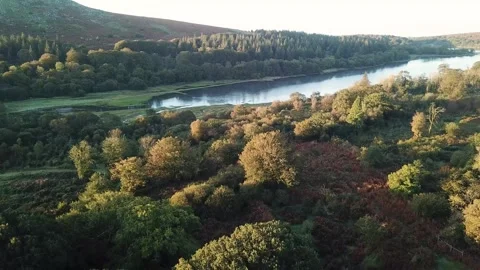 Reservoir in a forrest 4k Stock Footage 320941734