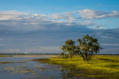 Reservoir Stock Photos