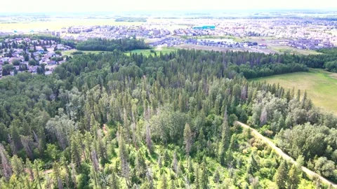 Residence Video stock 171737983