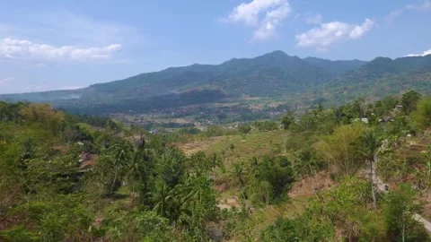 Residential area surrounded by rice fields, mountains, and clear skies. Stock Footage 274439756