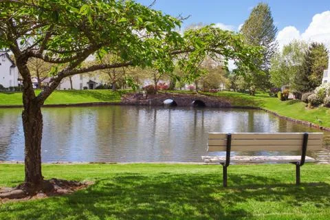 Residential complex backyard garden with pond, trees and sitting areas Stock Photos