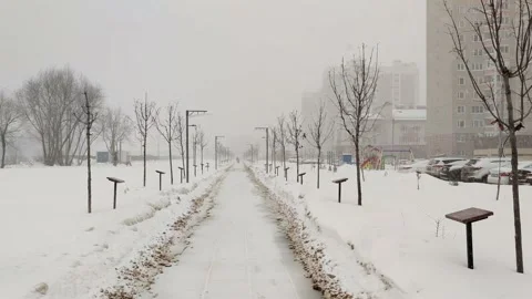 Residential district during blizzard Stock Footage 229547604