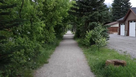 Residential foot path Stock Footage