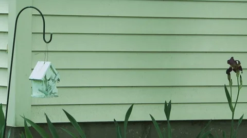 Residential Stock Footage 123926828