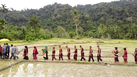 Residents parading in the fields on the slopes of the hill. Stock Footage 166441804