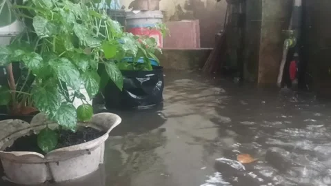 Resilience Amidst Reflections Stock Footage 277078996