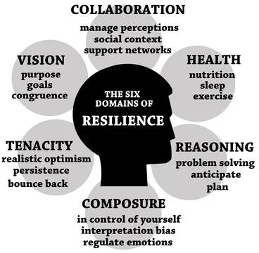 Resilience domains Stock Illustration