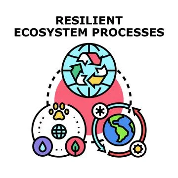 Resilient ecosystem processes concept for sustainability development Stock Illustration