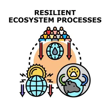 Resilient ecosystem processes concept for sustainable environment Stock-Illustration