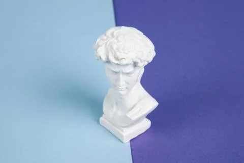 Resin bust bicolor Stock Photos