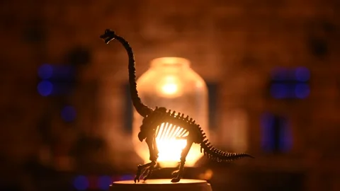 Resin dinosaur bones silhouette rorating with warm night lights Stock Footage 251127238