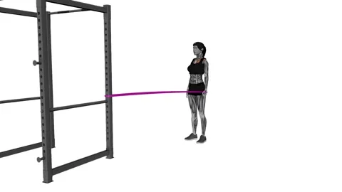 Resistance Band Standing Single Arm Lateral Shoulder Extension Female fitnes Vidéo 258821453