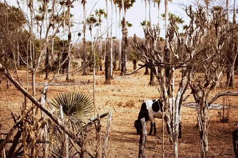 Resistance Fotos de archivo
