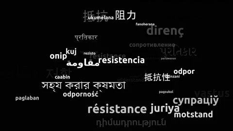 Resistance Translated in 49 Worldwide Languages Endless Looping 3d Zooming Wo 스톡 동영상 145208992