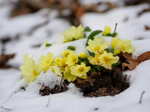Resistence Stock Photos