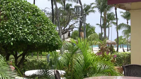 Resort Background Plate 動画素材 38909863