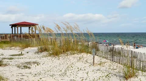 Resort Beach Scene Stock Footage 11527575