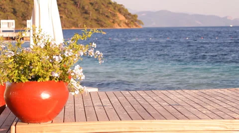 The resort, the beach, sea view Stock Footage 39859922
