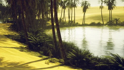 Resort on coast with luminous trees and soothing ocean breeze Stock Footage 342431960