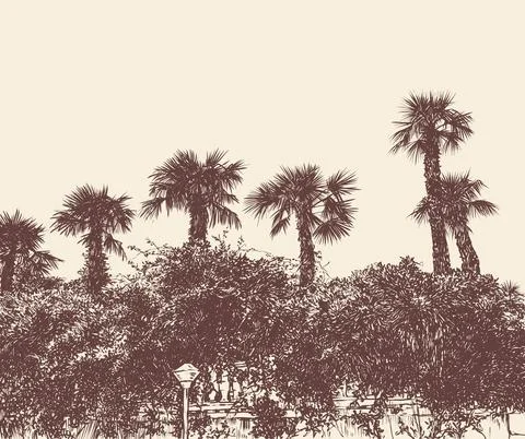 Resort landscape with palm trees. vector illustration Stock Illustration