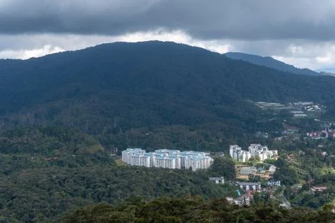 A resort lost in the forest. Stock Photos