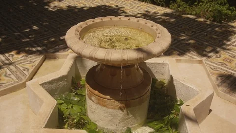 Resort Package 214 | dynamic shot of small resort garden fountain water Stock Footage 118655701