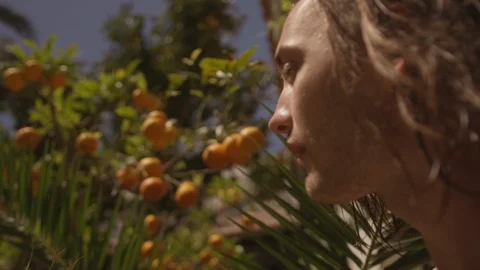 Resort Package 215 | closeup vlog man walks through garden jungle moving leaves Stock Footage 118655702