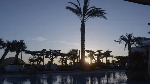 Resort Package 29 | Palm tree resort pool beautiful evening view sky Stock Footage 116882449