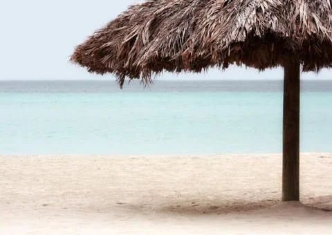 Resort Palm Tree on the Beach Stock Photos