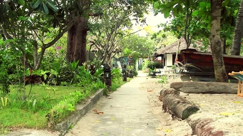 Resort Path Trough The Jungle, Lateral Dolly camera Stock Footage 80273945