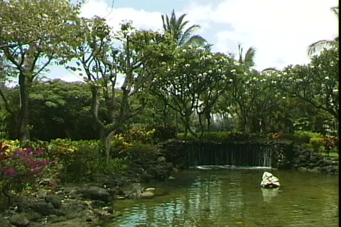 Resort Pond Stock-Footage 819834