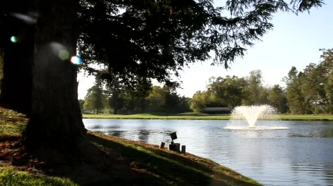 Resort Pond Stock Footage 846506