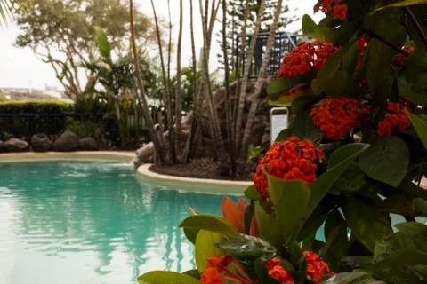 Resort Poolside Stock Photos
