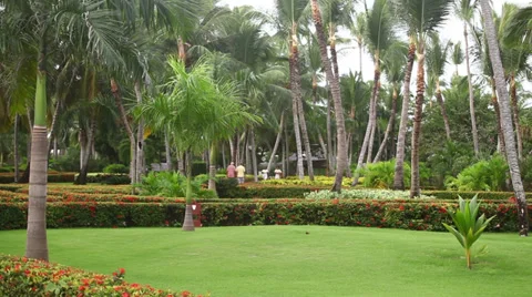 Resort in Punta Cana Stock Footage 36558117