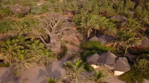 Resort with small round huts along beach with coconut and baobab trees Video stock 208939907