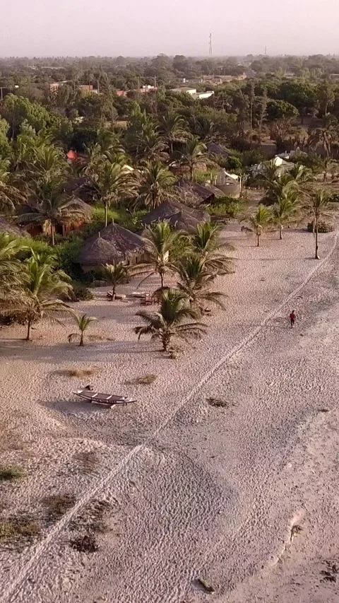 Resort with small round huts along beach with coconut and baobab trees Video stock 228821518