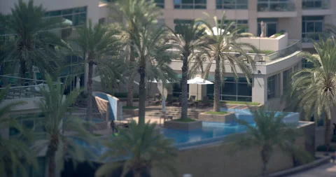 Resort swimming pool with palm trees in tilt shift Stock Footage 340477377