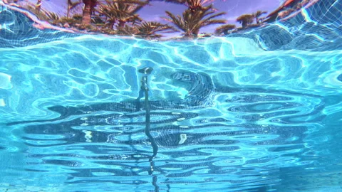 Resort swimming pool point of view of the tropical climate in 4K Stock Footage 88343998