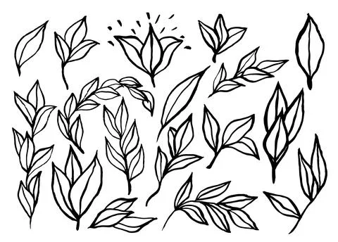 Resource of minimalist, simple leaf illustrations with very gestural stroke.. Stock Illustration