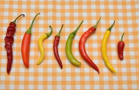 Respect all differences Stock Photos